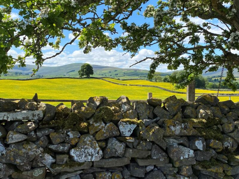 From Lake District: Full-Day Yorkshire Dales Tour - Key Points