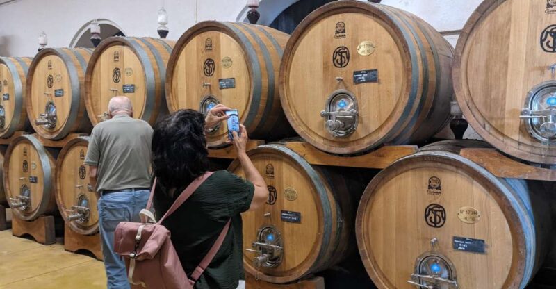 From Lake Garda: Valpolicella Wine & Lunch Guided Trip - What to Expect During the Wine Tasting Experience