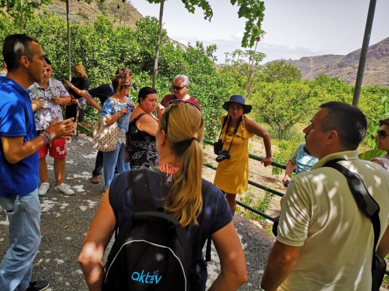 From Las Palmas: Full-Day Tour of the North - Explore the Best of Northern Gran Canaria from Las Palmas