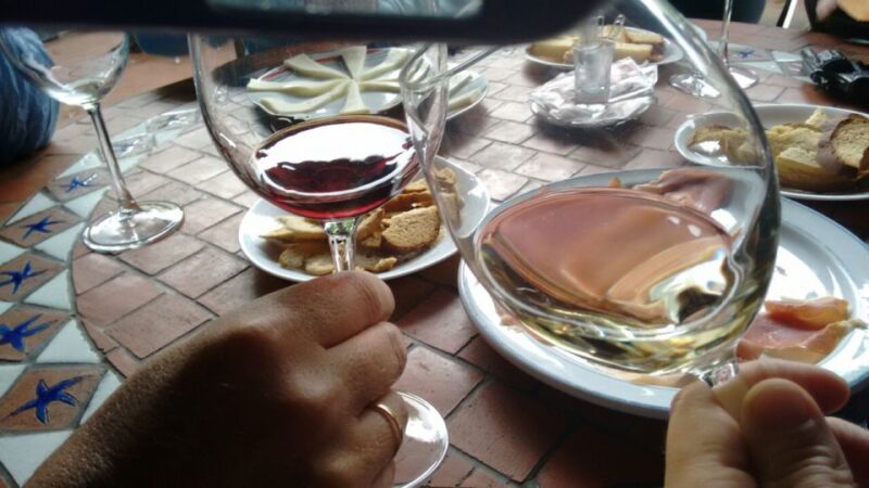 From Las Palmas: Full-Day Tour of the North - Visiting the Unique Agaete Coffee Plantation