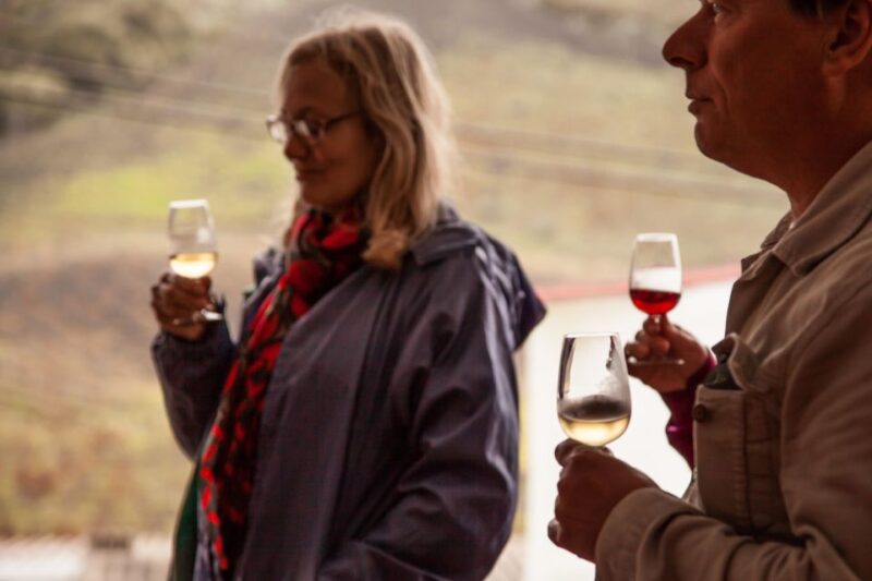 From Las Palmas: Full-Day Tour of the North - Lunch in the Fishing Village of Puerto de las Nieves