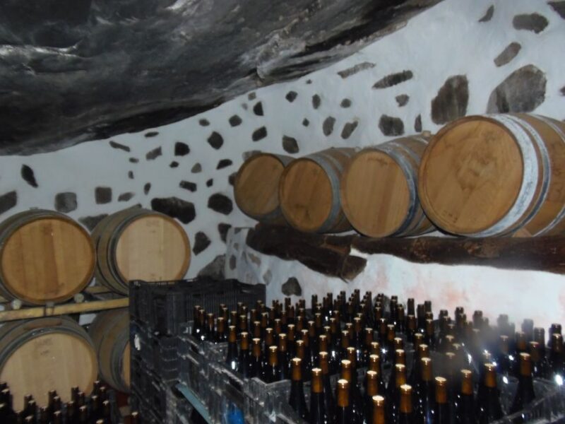 From Las Palmas: Full-Day Tour of the North - Discovering the Ceramic Bench Street in Firgas