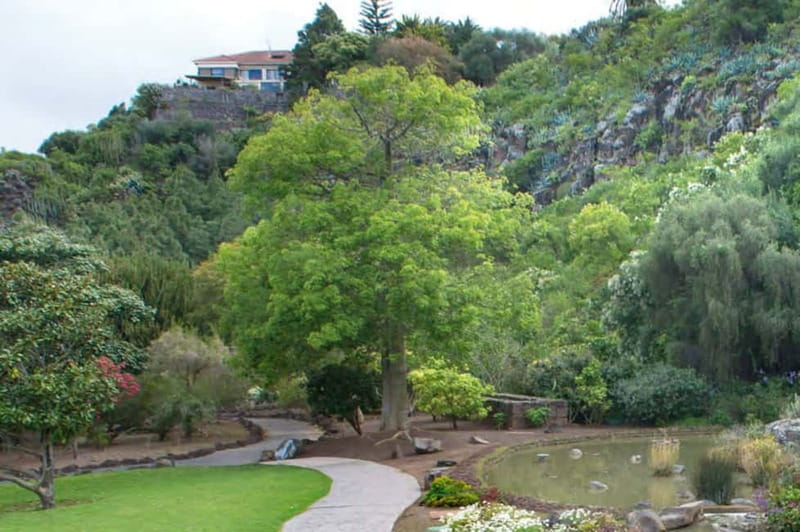 From Las Palmas: Half day tour Volcano Bandama & Vineyard - Key Points