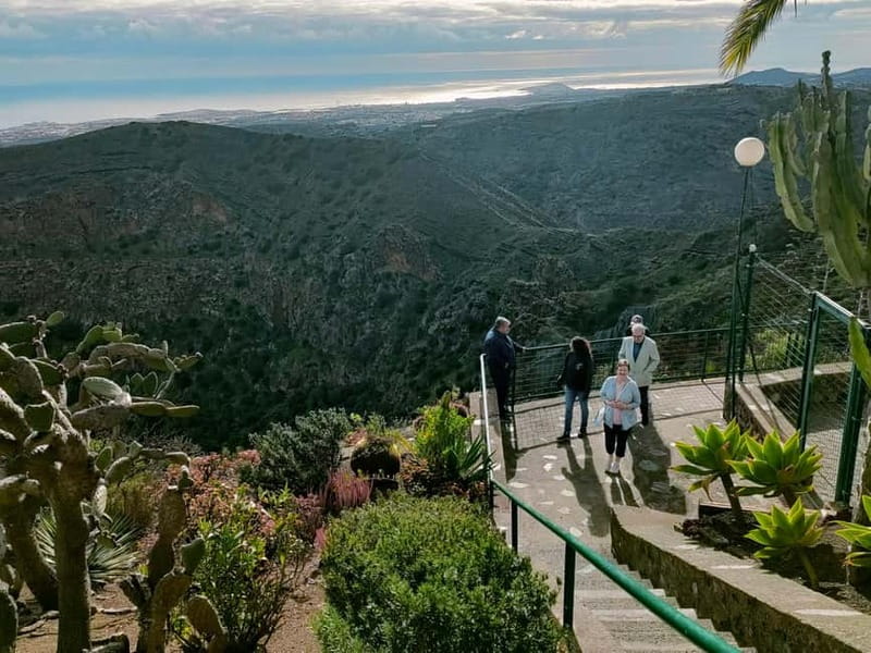 From Las Palmas: Half day tour Volcano Bandama & Vineyard - Discovering the Canary Islands Volcanic Power at Bandama