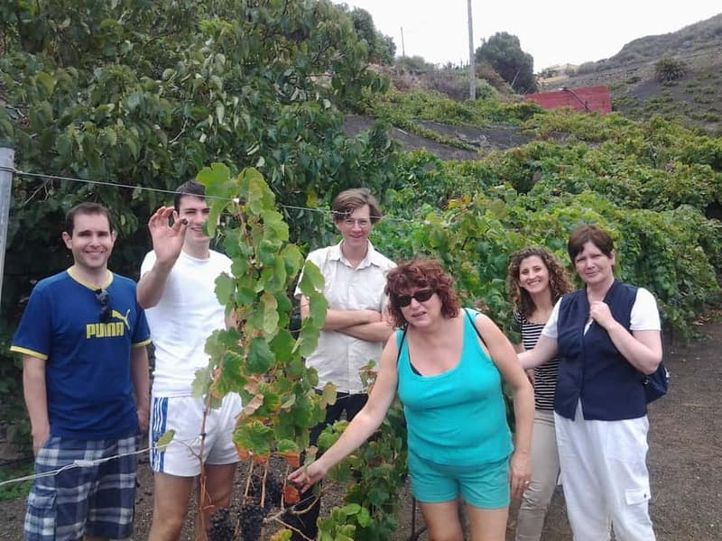 From Las Palmas: Half day tour Volcano Bandama & Vineyard - Who Will Appreciate This Tour