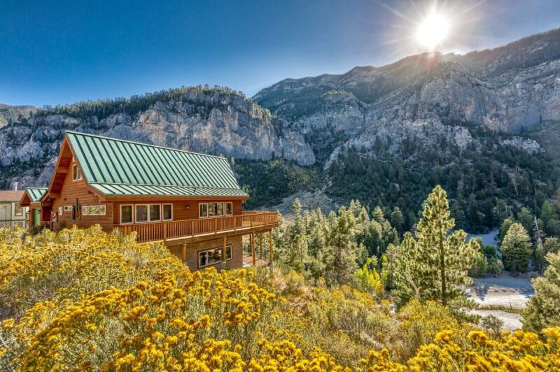 From Las Vegas: Day Trip to Mount Charleston Resort - Exploring Mount Charleston’s Elevation and Natural Beauty