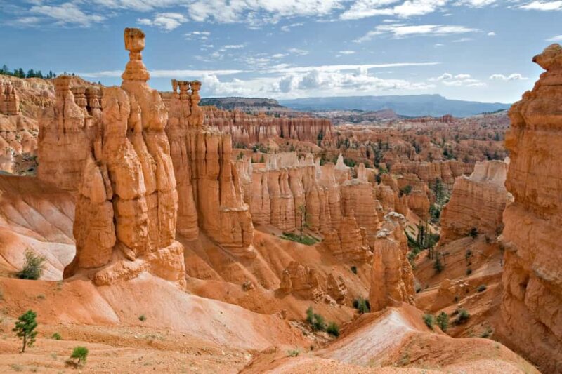 From Las Vegas: Private Bryce Canyon Hiking Tour - Customizable Hikes for All Fitness Levels