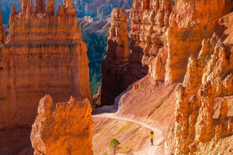 From Las Vegas: Private Bryce Canyon Hiking Tour - Practical Tips for the Tour