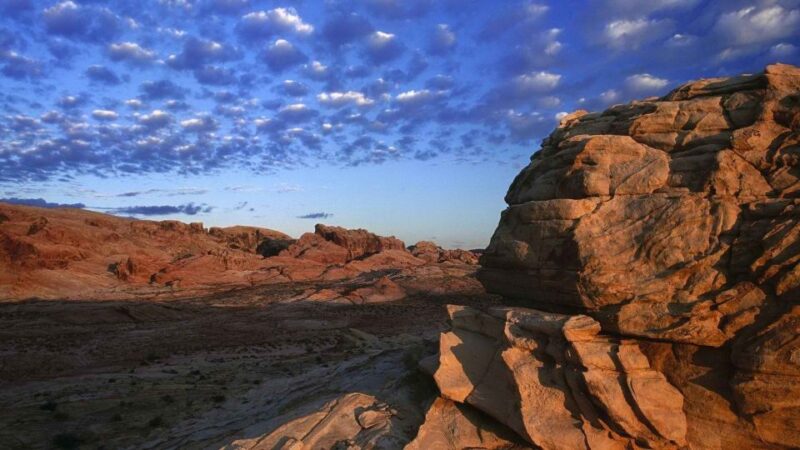 From Las Vegas: Valley of Fire State Park Tour - Discovering 4,000-Year-Old Petroglyphs and Petrified Trees