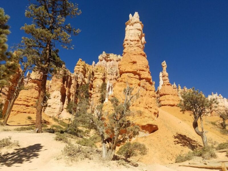From Las Vegas: Zion and Bryce Canyon Guided Day Tour - Lunch in a Natural Setting