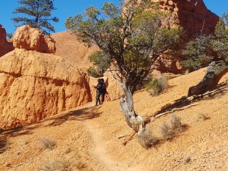 From Las Vegas: Zion and Bryce Canyon Guided Day Tour - Overall Value and Suitability