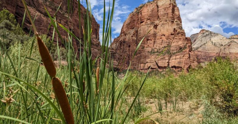From Las Vegas: Zion National Park Small Group Adventure - Scenic Drives and Photo Opportunities