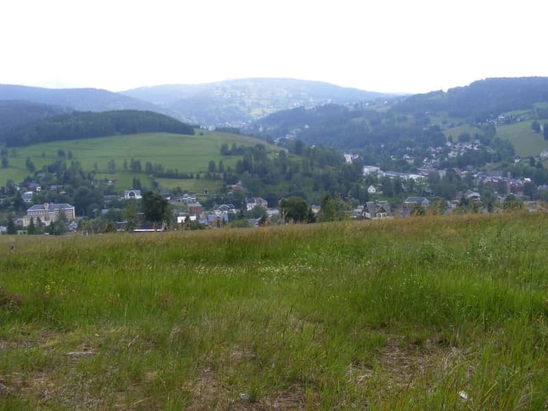 From Leipzig: Vogtland Music Day Trip - The Musical Instrument Museum: A Treasure Trove of History