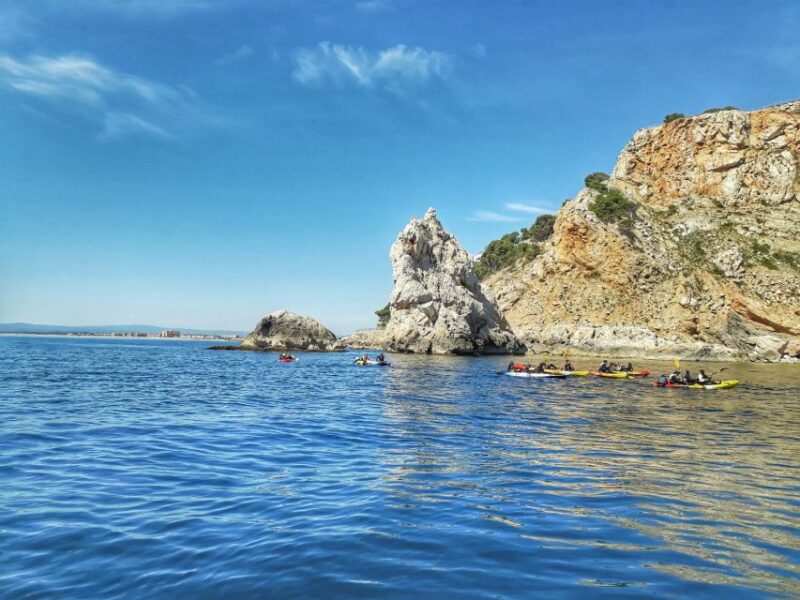 From L'Estartit: Sea Kayaking Tour to the Medes Islands - Swimming and Marine Life Close-Up