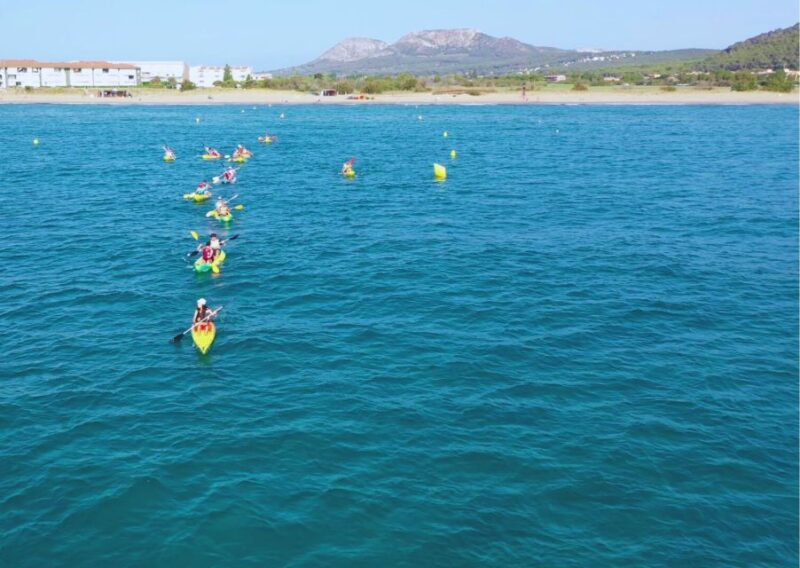 From L'Estartit: Sea Kayaking Tour to the Medes Islands - Practical Tips for Participants