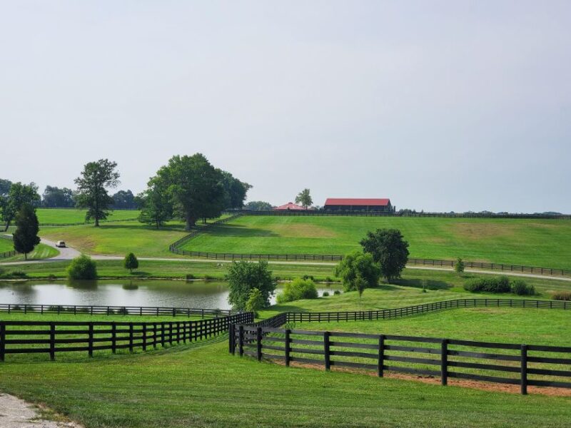 From Lexington: Kentucky Horse Farms Tour - Logistics and Accessibility