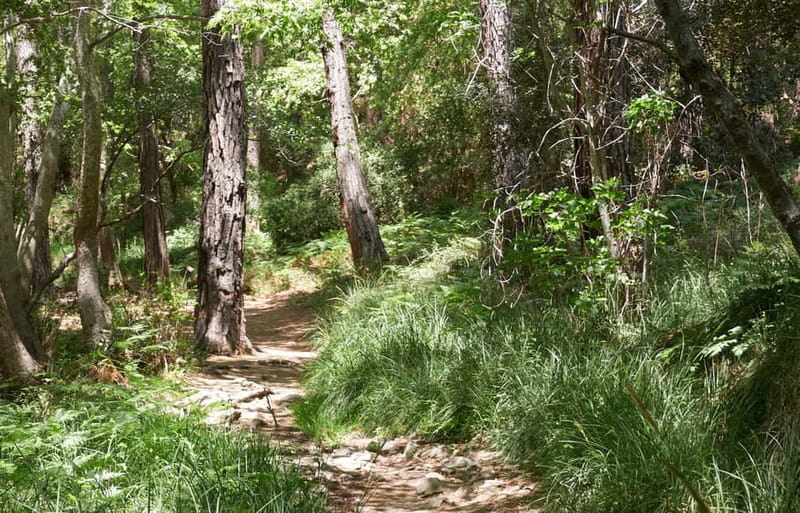 From Limassol: Grand Tour Jeep Safari - Key Points