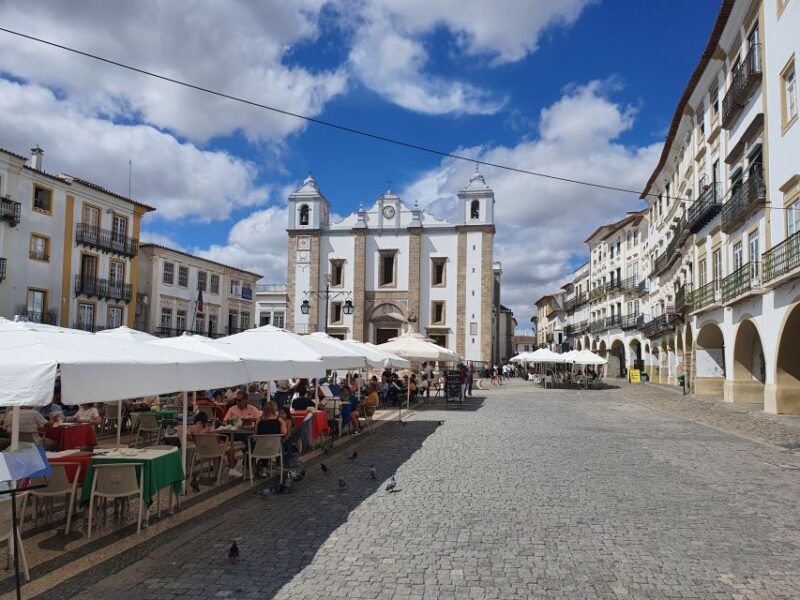 From Lisboa: Evora and Monsaraz Full-Day Tour - Explore Évora and Monsaraz with a Private Guide from Lisbon for $108