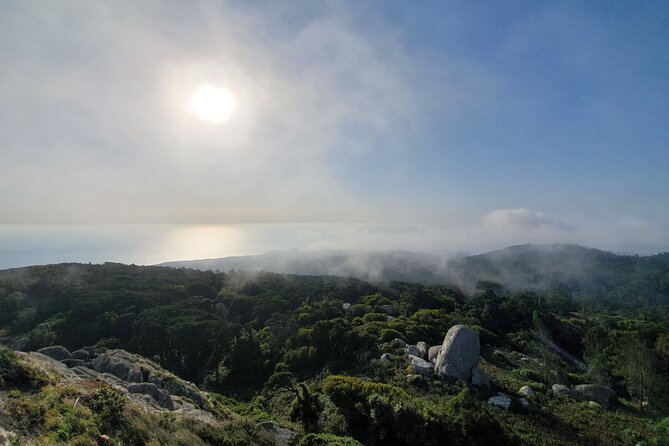 From Lisboa: Sintra, Cabo da Roca & Cascais Private Full Day Tour - Who Should Consider This Tour