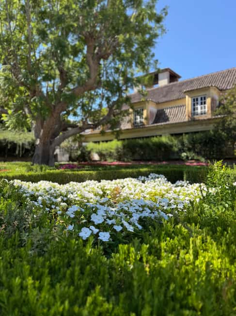 From Lisbon: Amazing Full-Day Tour with Boat Ride - Seafood Lunch in Sesimbra: A Coastal Culinary Delight