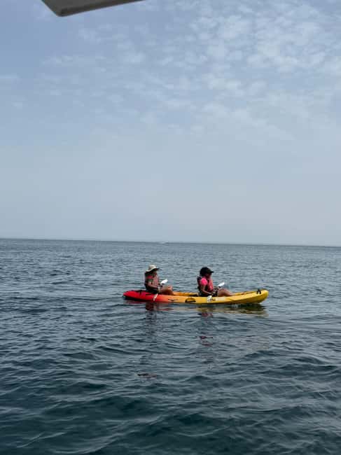 From Lisbon: Amazing Full-Day Tour with Boat Ride - Logistics and Practical Tips for the Tour