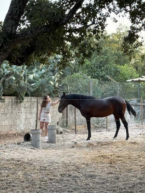 From Lisbon: Amazing Full-Day Tour with Horse Riding on the Beach - Discover Lisbon’s Hidden Treasures and Coastal Charm