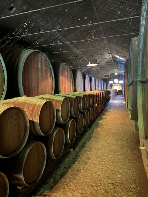 From Lisbon: Amazing Horseback Ride, Tasting, Estates, and Cristo Rei - Key Points