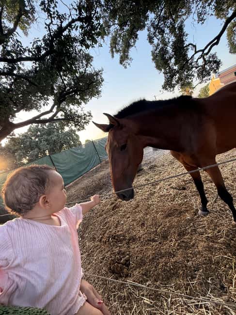 From Lisbon: Amazing Horseback Ride, Tasting, Estates, and Cristo Rei - Wine Tasting at Azeitão Estates