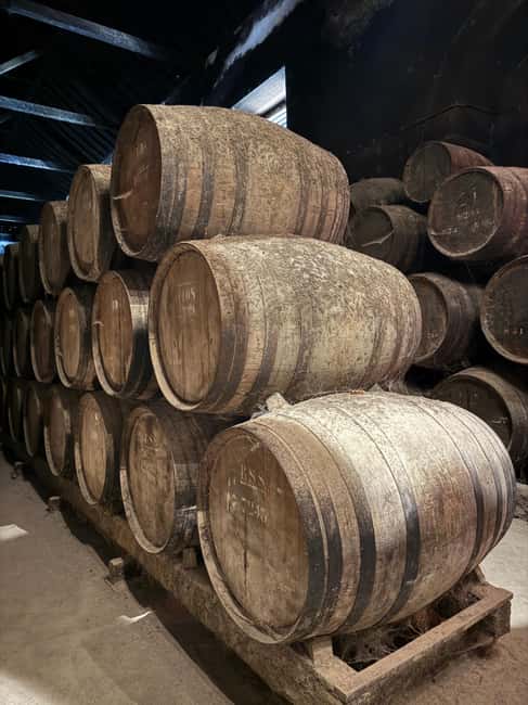 From Lisbon: Amazing Horseback Ride, Tasting, Estates, and Cristo Rei - Logistics and Practical Tips