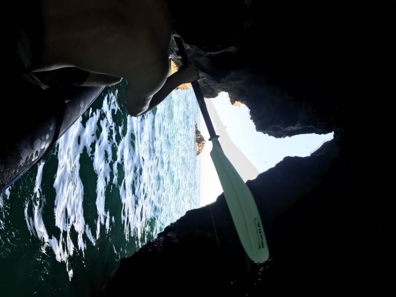 From Lisbon: Arrábida Natural Park Kayak Tour with Lunch - Snorkeling and Water Activities