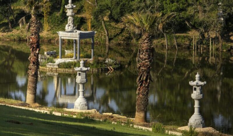 From Lisbon: Budha Eden, Obidos & Nazaré Private Day Trip - The Role of the Guide: Hugos Expertise and Approach