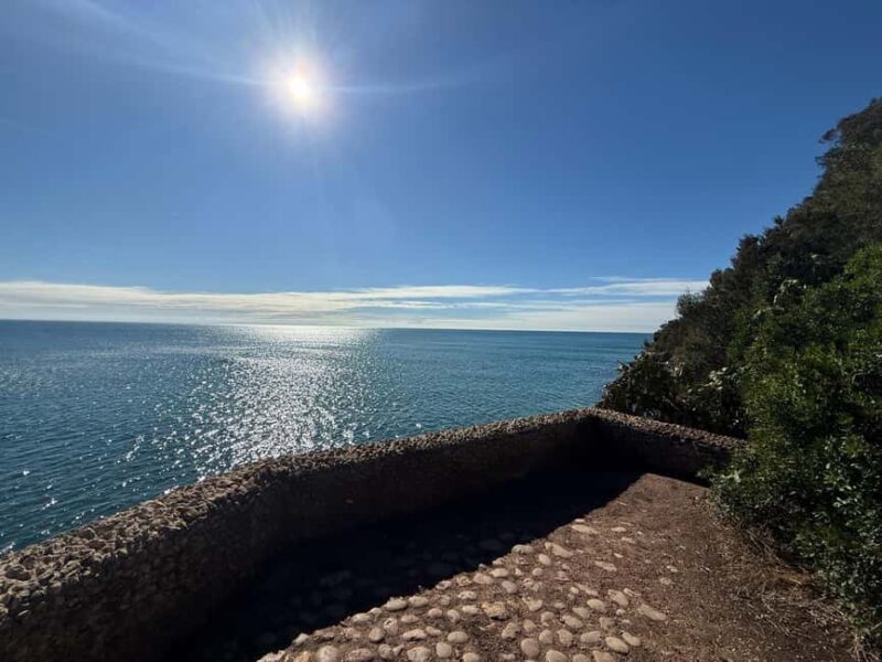 From Lisbon: Cabo Espichel, Serra Arrábida - Practical Details and Booking Flexibility