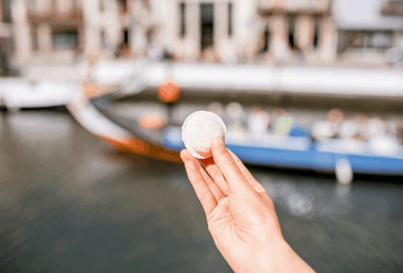 From Lisbon: COIMBRA and AVEIRO - Flexibility and Booking Details