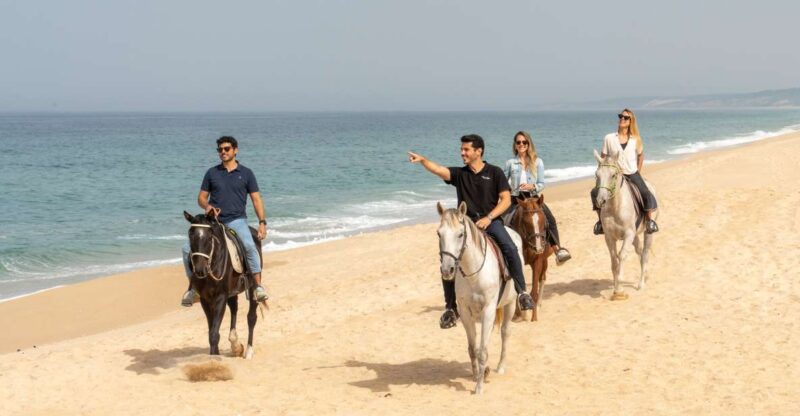 From Lisbon: Comporta and Setúbal Trip with Horseback Riding - Explore Setúbal’s Vibrant Fish Market and Historic Quarter