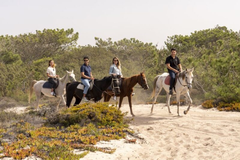 From Lisbon: Comporta and Setúbal Trip with Horseback Riding - Comparing This Tour to Similar Experiences