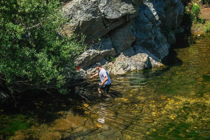 From Lisbon: Discover the Heart of Portugal Tour - Key Points