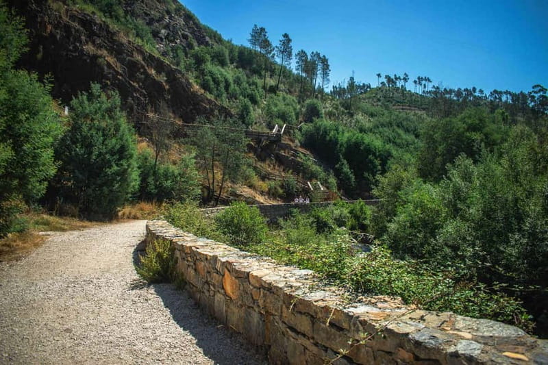 From Lisbon: Discover the Heart of Portugal Tour - Exploring the Town of Vila de Rei and Its Historic Charm