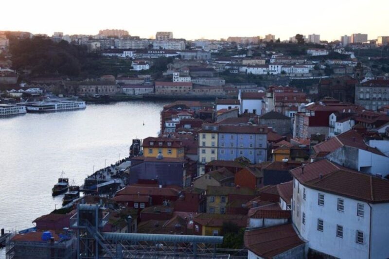 From Lisbon: Douro Valley and Porto Town Experience - Port Wine and Regional Cheese Tasting in the Douro Valley