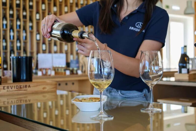 From Lisbon: Évora, Chapel of Bones & Alentejo Wine Tour - Key Points