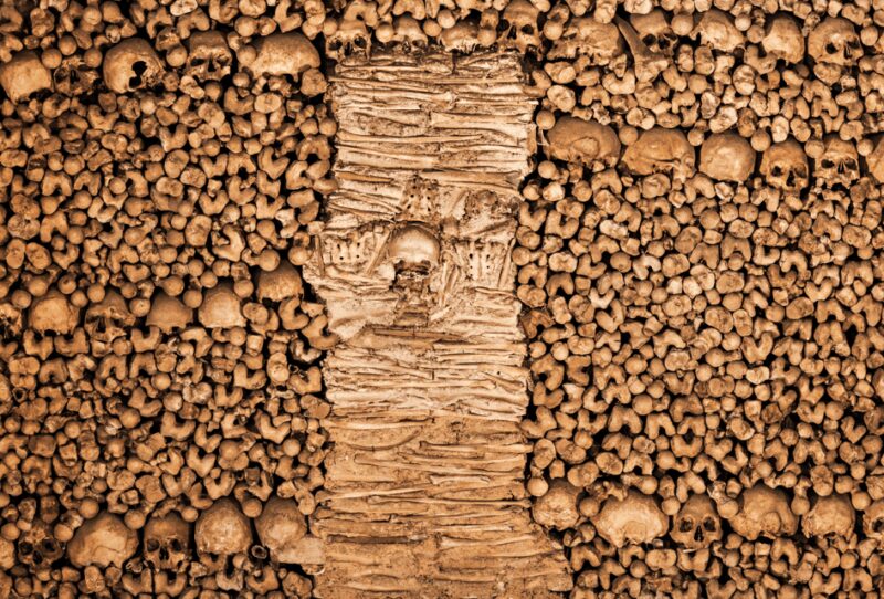 From Lisbon: Évora + Chapel of Bones + Monsaraz + Alentejo Wines - Explore Historic Évora and the Scenic Village of Monsaraz in a Day