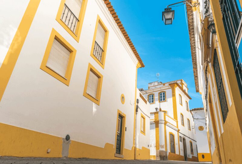 From Lisbon: Évora + Chapel of Bones + Monsaraz + Alentejo Wines - Wine Tasting at a Local Alentejo Vineyard
