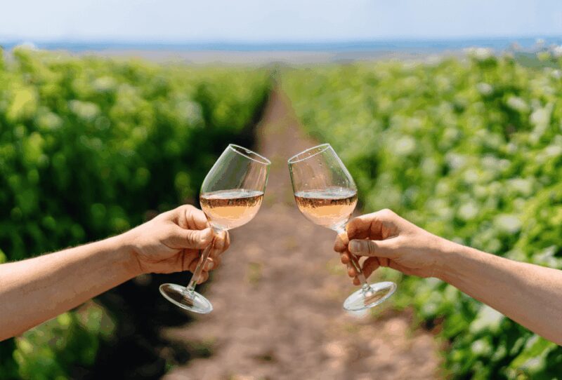 From Lisbon: Évora + Chapel of Bones + Monsaraz + Alentejo Wines - How the Tour Stands Out from Similar Experiences