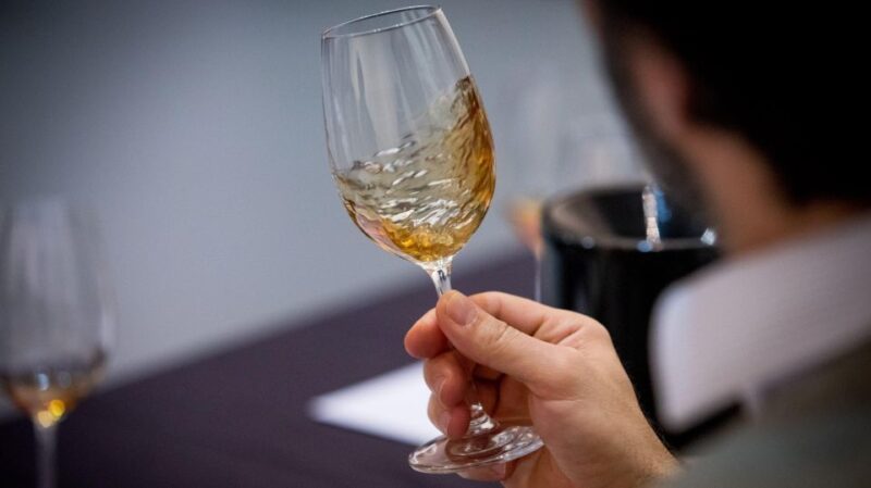 From Lisbon: Évora Tour with Wine Tasting included - What’s Included and What to Bring