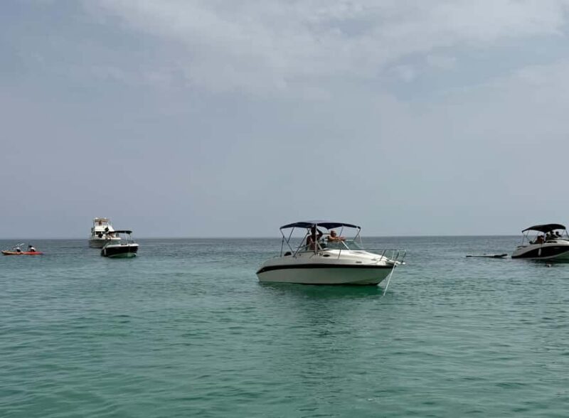 From Lisbon: Fantastic Dolphin Tour - Exciting Dolphin Watching and Scenic Boat Ride from Lisbon