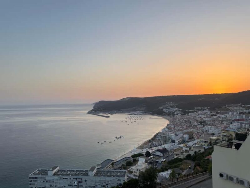 From Lisbon: Fantastic Dolphin Tour - Key Points