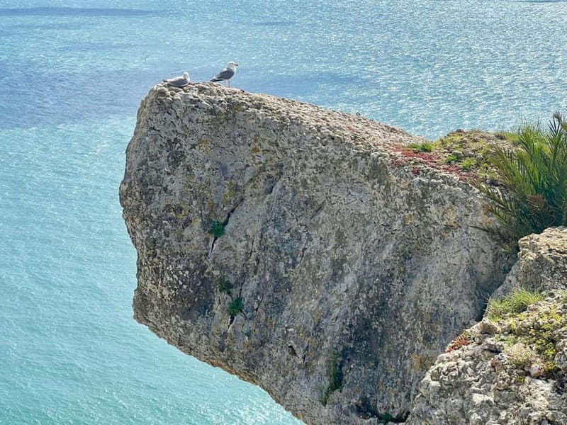 From Lisbon: Fátima, Nazaré & Óbidos Special Van Tour - Who Will Appreciate This Tour Most