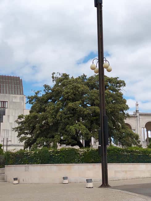 From Lisbon: Fatima, Valinhos, and Wine Cellar Tour - Visiting the Wine Cellar and Museum