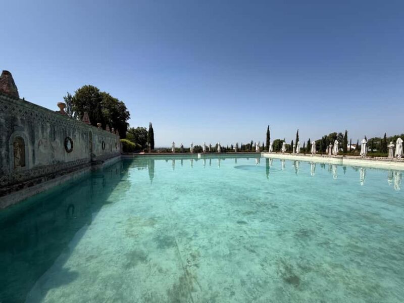 From Lisbon: Great visit to wineries, estates, palace, and wine tasting - Seamless Logistics and Expert Guidance