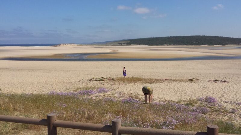 From Lisbon: Half-Day Arrábida Tour w/ Transfers - Discovering the Arrábida Natural Park and Its Breathtaking Views