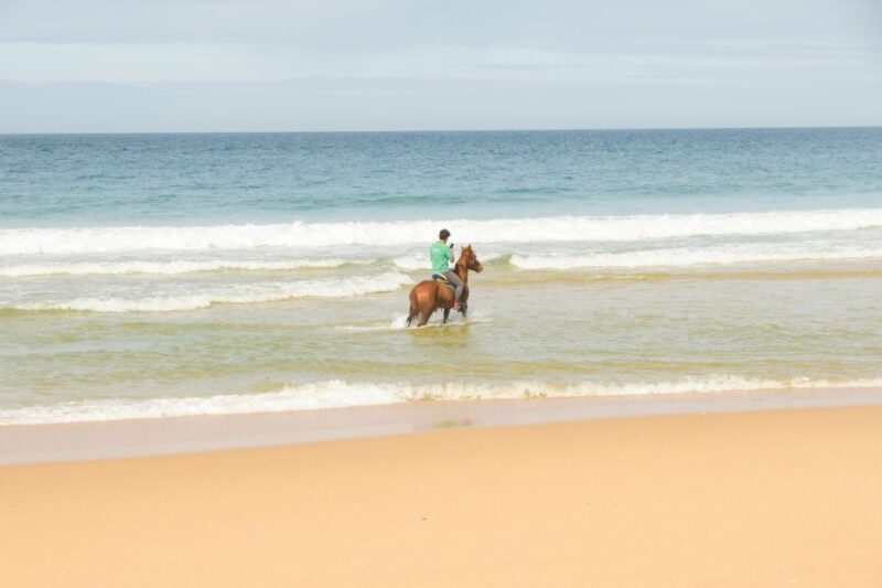 From Lisbon: Horseback Riding on Comporta Beach - Enjoy a Memorable Horseback Ride on Comporta Beach from Lisbon for $159